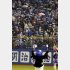神宮のヤクルトファンは何を思う（Ｃ）日刊ゲンダイ