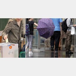 権利の裏に…（Ｃ）日刊ゲンダイ