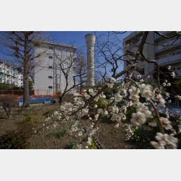 安く住める団地もある（写真はイメージ）／（Ｃ）日刊ゲンダイ