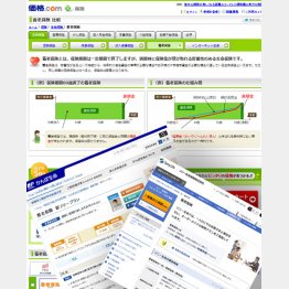 バブルの頃は「花形商品」だった（Ｃ）日刊ゲンダイ