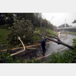 西日本を中心に各地で大きな被害が（Ｃ）日刊ゲンダイ