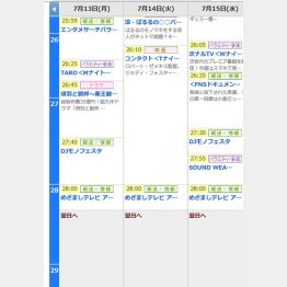 さすがに３０時はない…（フジテレビＨＰ番組表から）