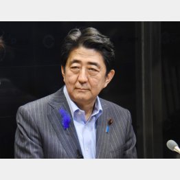 サッパリ…（Ｃ）日刊ゲンダイ