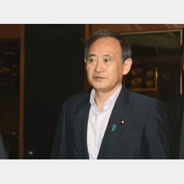 会見で写真を公表した菅官房長官（Ｃ）日刊ゲンダイ