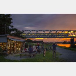 昭和10年創業の「たぬき茶屋」（Ｃ）日刊ゲンダイ