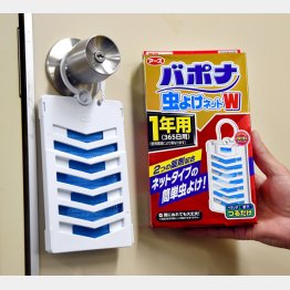 効き目や使用期間などは変わりない（Ｃ）日刊ゲンダイ