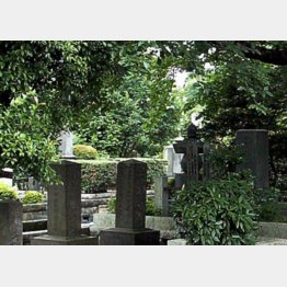 写真はイメージ（Ｃ）日刊ゲンダイ