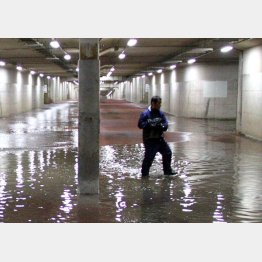 写真はイメージ（Ｃ）日刊ゲンダイ