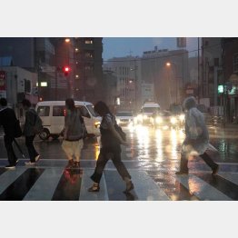 地下には潜らないこと（Ｃ）日刊ゲンダイ