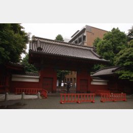 東京大学では推薦入試がスタート（Ｃ）日刊ゲンダイ