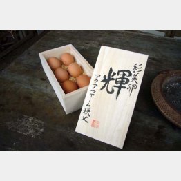 アクアファームの「輝」（提供写真）