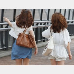 写真はイメージ（Ｃ）日刊ゲンダイ