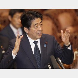 国会はアナタひとりのものじゃない（Ｃ）日刊ゲンダイ