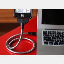 ｉＰｈｏｎｅ専用ケーブル「ユンヌボビン」（Ｃ）日刊ゲンダイ