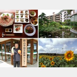左上から時計回りに、「正月荘」の御料理、「四季彩一力」、布引高原、ブランド野菜を持つ鈴木光一さん（提供写真）