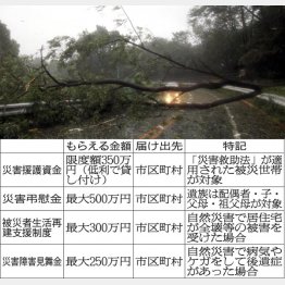 覚えておいて損はない（Ｃ）日刊ゲンダイ