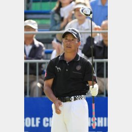 井戸木鴻樹（Ｃ）日刊ゲンダイ