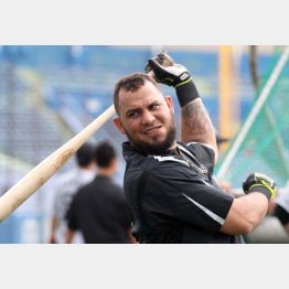 確かに風貌は…（Ｃ）日刊ゲンダイ