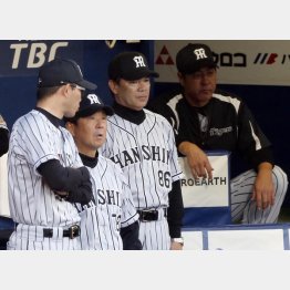 和田監督を囲むコーチ陣（Ｃ）日刊ゲンダイ