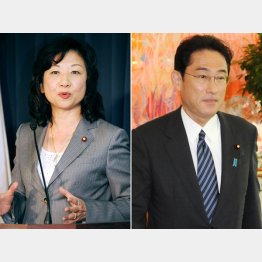 野田衆議院議員と岸田外相（Ｃ）日刊ゲンダイ