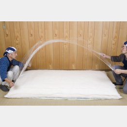 木綿１００％布団（提供写真）