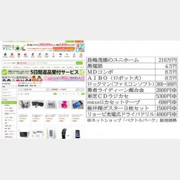 掘り出し物がザクザク（Ｃ）日刊ゲンダイ