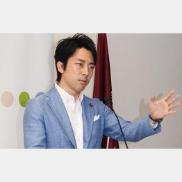 入閣要請を断ったという小泉進次郎氏（Ｃ）日刊ゲンダイ