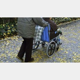 写真はイメージ（Ｃ）日刊ゲンダイ