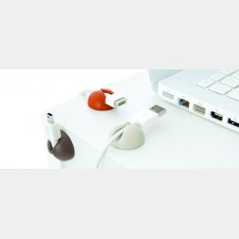 （Ｃ）日刊ゲンダイ