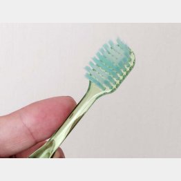 （Ｃ）日刊ゲンダイ