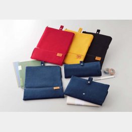 （Ｃ）日刊ゲンダイ