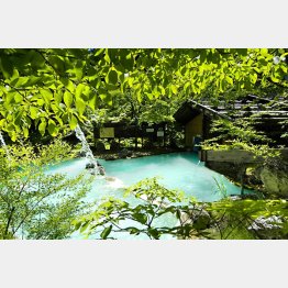 泡の湯旅館の混浴露天風呂（提供写真）