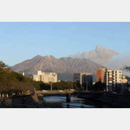噴煙を上げる桜島（提供写真）