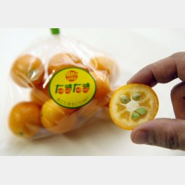 （Ｃ）日刊ゲンダイ