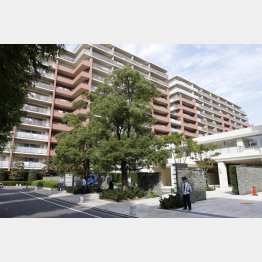 上物は立派でも…（Ｃ）日刊ゲンダイ