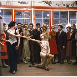 「暗殺の森」（Ｃ）1971 Minerva pictures Group All rights reseived. 