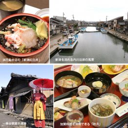 （Ｃ）日刊ゲンダイ