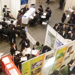 民間企業の面接は大丈夫のはずだが…（Ｃ）日刊ゲンダイ