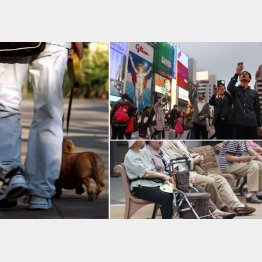 マンション住民には問題山積／（Ｃ）日刊ゲンダイ