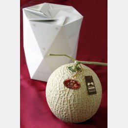 口中に芳醇な香りが残る「天使音」（Ｃ）日刊ゲンダイ