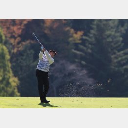 羽川豊（Ｃ）日刊ゲンダイ