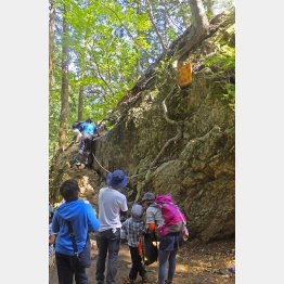 写真はイメージ（Ｃ）日刊ゲンダイ