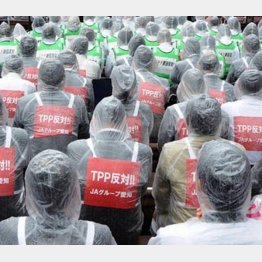 ＴＰＰに反発する農業団体の集会の様子（Ｃ）日刊ゲンダイ
