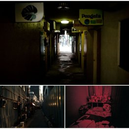 新宿二丁目（上）と黄金町（下・写真右下はちょんの間）／（提供写真）