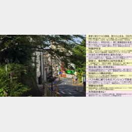 写真はイメージ（Ｃ）日刊ゲンダイ