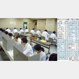 食味試験の実施風景（提供写真）