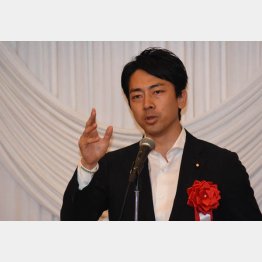 小泉進次郎議員（Ｃ）日刊ゲンダイ