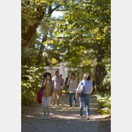 緑豊かな永青文庫（Ｃ）日刊ゲンダイ