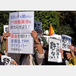 本来デモは誰もがどこでも行える（Ｃ）日刊ゲンダイ