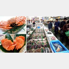 ポイントは冷凍前の状態に（Ｃ）日刊ゲンダイ